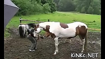 Lady Dominans Med Hård Piskning Og Bareback Ridning Af En Underdanig